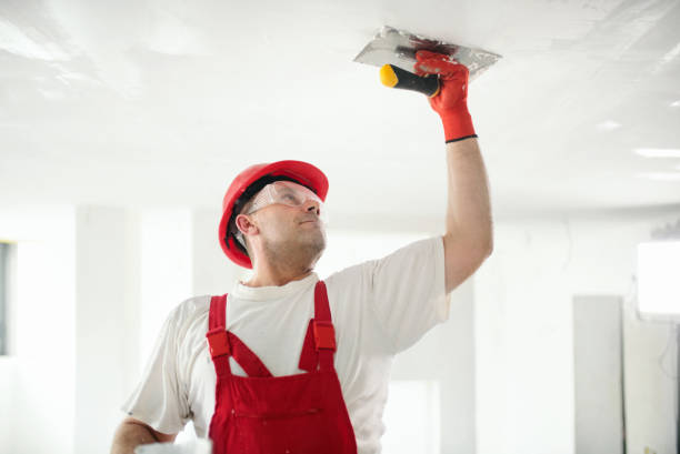 Best Ceiling Drywall Installation  in Kent City, MI